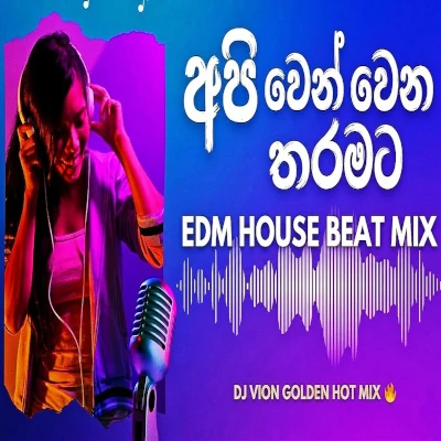 Download Api Wenwena Tharamata Remix Mp3 Song for free. Latest Sinhala music available on SriTune.