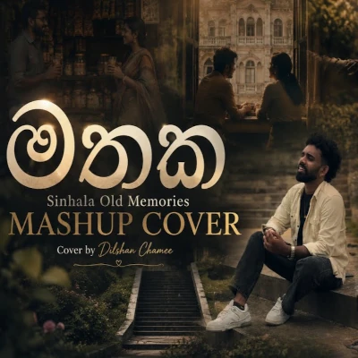 Download Heart Touching Mashup - Dilshan Chamee Mp3 Song for free. Latest Sinhala music available on SriTune.
