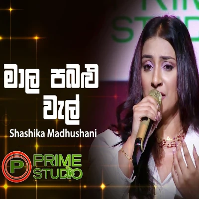 Download Mala Pabalu Wel Prime Studio - Shashika Madushani Mp3 Song for free. Latest Sinhala music available on SriTune.