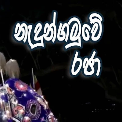 Download Nadun Gamuwe Raja - Edward Jayakody Mp3 Song for free. Latest Sinhala music available on SriTune.