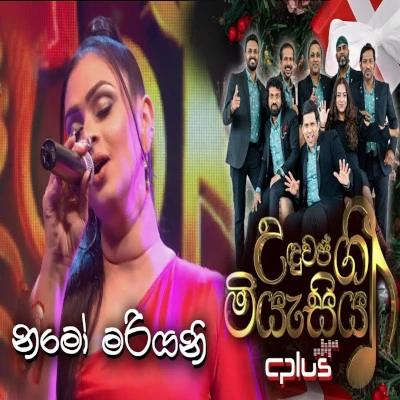 Download Namo Mariyani (Cover) - Tashni Perera Mp3 Song for free. Latest Sinhala music available on SriTune.