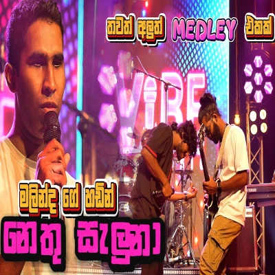 Download Nethu Saluna Live - Vibe Music Mp3 Song for free. Latest Sinhala music available on SriTune.