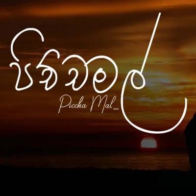 Download Pichcha Mal - Missaka Sooriyaarachchi Mp3 Song for free. Latest Sinhala music available on SriTune.
