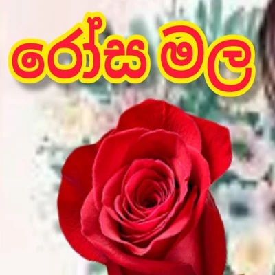 Download Rosa Mala - Lama Gee Mp3 Song for free. Latest Sinhala music available on SriTune.