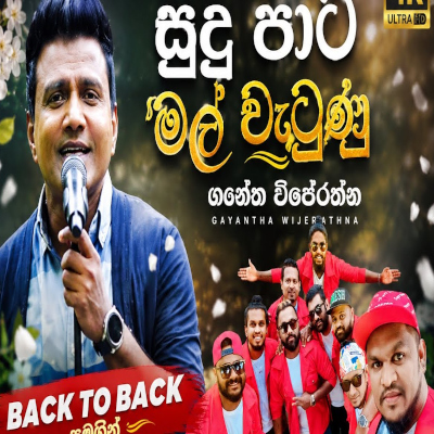 Sudu Pata Mal Wetunu Rathu Pata Rali Gawuma Live - Gayantha Wijerathna - Latest Sinhala Song