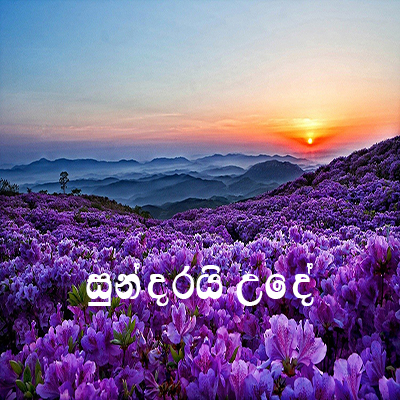 Download Sundarai Ude Lassana Mal Pipi Thibe - Various Artists Mp3 Song for free. Latest Sinhala music available on SriTune.