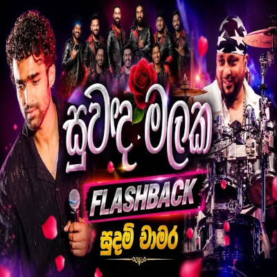 Download Suwanda Malaka Suwanda Podak Live - Sudam Chamara Mp3 Song for free. Latest Sinhala music available on SriTune.