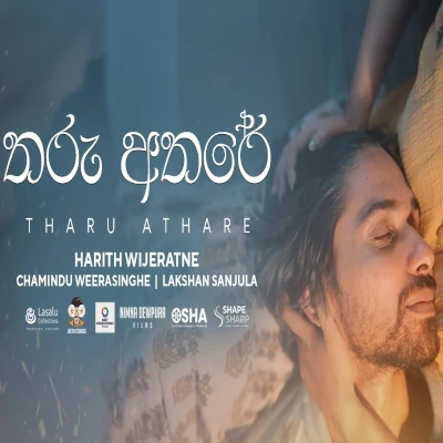 Download Tharu Athare - Harith Wijeratne Mp3 Song for free. Latest Sinhala music available on SriTune.