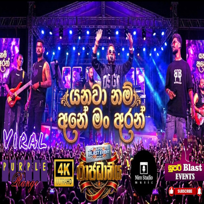 Download Yanawa Nam Ane Man Aran Live - Sathuta Suranga Mp3 Song for free. Latest Sinhala music available on SriTune.